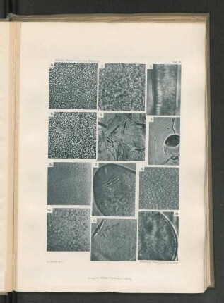 1b.