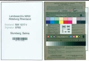 Entnazifizierung Selma Stursberg , geb. 28.01.1893 (Staedtische Angestellte)
