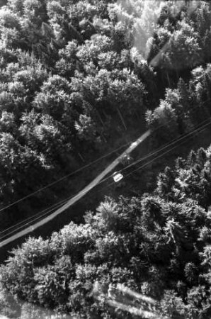 Günterstal: Seilbahn über dem Wald