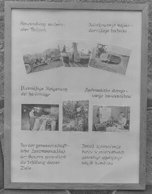 Tafeln Quatitz