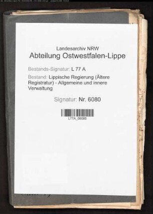 Prüfung des Apothekers Robert Brandes zu Salzuflen
