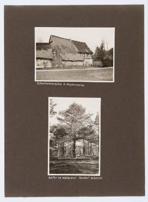Referenzmappe 3/17 des Fotografen Walter Möbius : Mappenblatt 74 mit zwei Fotografien (Schowtschick-Mühle bei Wittichenau und Kiefernheidewald bei Klösterlich Neudorf)