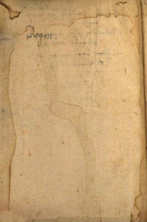 Opus articulorum sive conclusionum