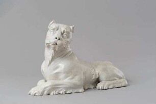 Löwin