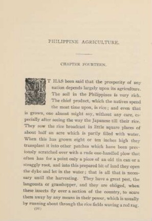 Philippine agriculture