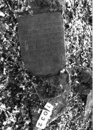 Grabstein 1032 (Detailaufnahme 1)