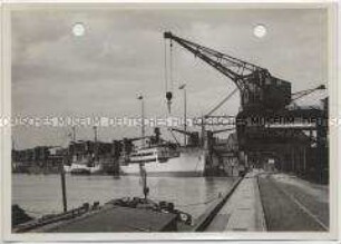 Stettin, Freihafen