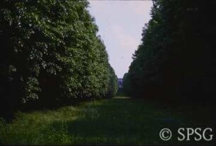 Potsdam, Park Sanssouci, Belvedere Klausberg.