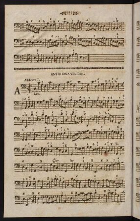 Antiphona VIII.