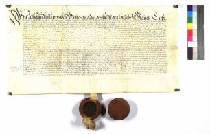 Kurfürst Johann Philipp an alle Grafen Hohenlohe verleiht Langenburg, Weikersheim, Bretzfeld, Künzelsau, Belsenberg, Döttingen, Jungholzhausen, Neufels.