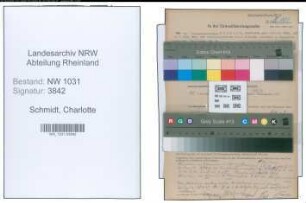 Entnazifizierung Charlotte Schmidt , geb. 13.07.1906 (Justizinspektor)