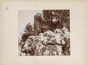 Ruine : Ruine auf Kalkklippen im Kiefernwald.