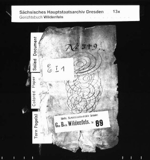 Gerichtshandelsbuch von Schönau (bei Wildenfels), Bd. 2