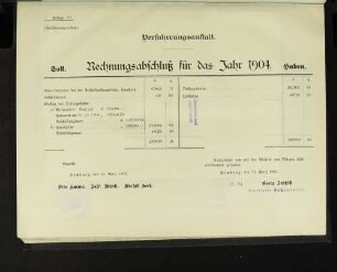 Anlage 19. Versicherungsanstalt. Rechnungsabschluß für das Jahr 1904.