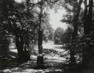 Schloßpark