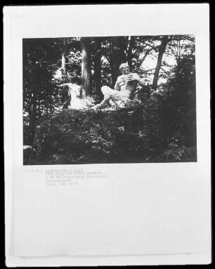 Faun