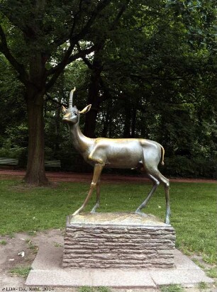 Gazelle; Berlin, Pankow