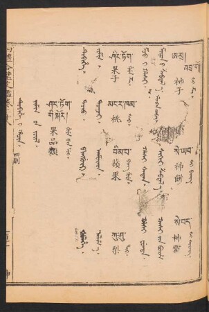 Tubihe i hacin = Jimis-ün jüil = 果品類