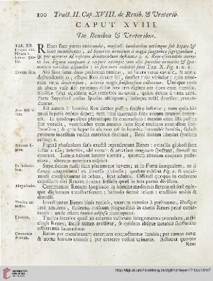 Caput XVIII: De Renibus et Vreteribus