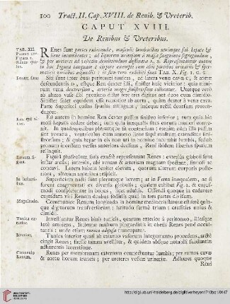 Caput XVIII: De Renibus et Vreteribus