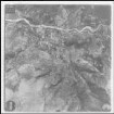 Aufnahme 042