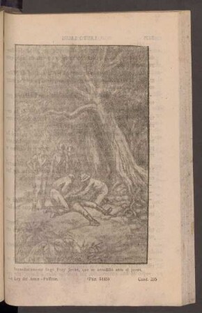 Inmediatamente llegó Fray Javier, que se arrodilló ante el joven. - [Ilustración]
