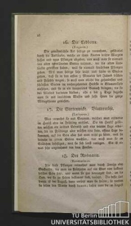 18. Der Rosmarin. (Rosmarinus.