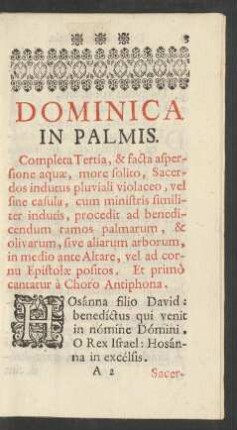 Domenica In Palmis