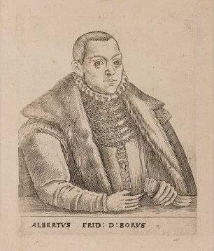 Albert Friedrich (1553-1618), Herzog von Preußen