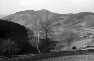 Landwasser: Landschaft, Blick ins Tal