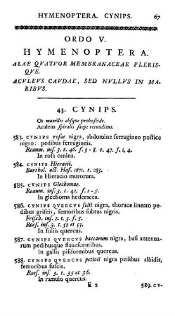 Ordo V. Hymenoptera