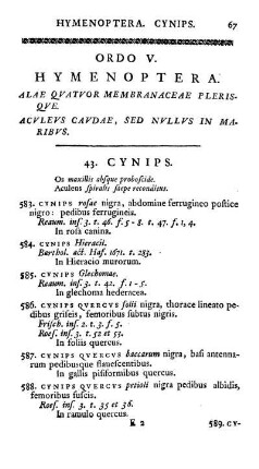 Ordo V. Hymenoptera