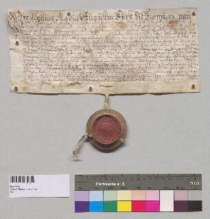 Das Domkapitel Salzburg überträgt dem Kloster Seeon die Nutznießung an dem zu Maria Eck im Pfleggericht Marquartstein Gut Hinteregg mit der Alm Kollgrueb, welches in das salzburgische Amt Miesenbach gehört. S: Domkapitel Salzburg