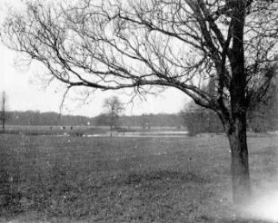 Leipzig: Rosentalwiese-Teich, Vorfrühling
