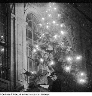 Weihnachtsbaum