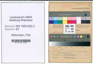 Entnazifizierung Fritz Wehrmann , geb. 09.03.1889 (Staedt.Leiter)