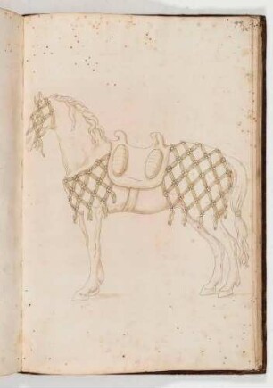 Pferd mit Prachtreitzeug, Kopfschmuck und Sattel, in: Equestrium statuarum [...] formae [...] artificiosissime pictis, Bl. 98