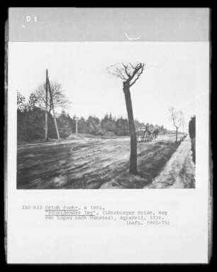 Scheidender Tag (Lüneburger Heide, Weg von Lopau nach Münster)