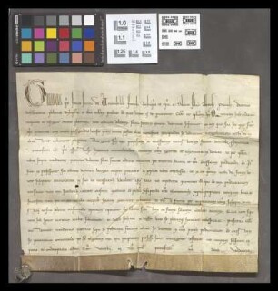 Mainz (Franziskaner): Bulle des Papstes Gregor IX., wodurch er den Minoritenorden empfiehlt