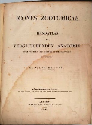 Icones zootomicae : = Handatlas zur vergleichenden Anatomie nach fremden und eigenen Untersuchungen