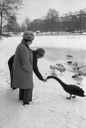 Winterstimmung im Karlsruher Stadtgarten