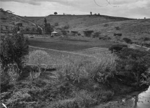 Farm : Gebäude und Anbaufläche einer kleinen Farm