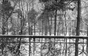 Schloss Colditz : Dresden-Blasewitz, Johannstraße. Winteraufnahme