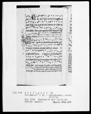 Antiphonarium (Benediktinerhandschrift) — Initiale B (ata agnes), Folio 228 verso