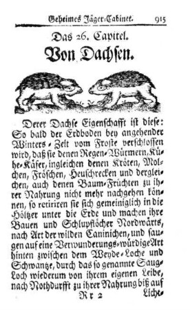 Das 26. Capitel. Von Dachsen.