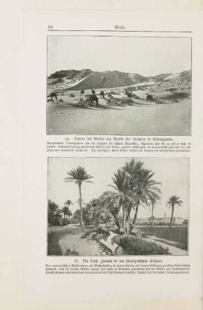 25. Die Oase Zaouia in der südalgerischen Sahara