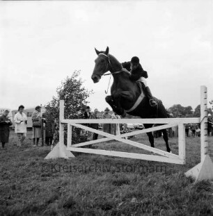 Sportveranstaltung: Pferdeleistungsschau: Reit- und Fahrverein Trittau und Umgebung von 1922 e.V.: Jubiläumsschau: Jagdspringen: Pferd mit Reiter beim Sprung über Hindernis