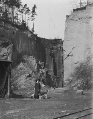 Steinbruch : Helene Zimmermann mit Schäferhund Pascha in einem Steinbruch auf dem Rochlitzer Berg.