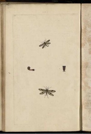 Pl. 201 [bis] Pl. 210 [Pl. siehe arabische Paginierung]