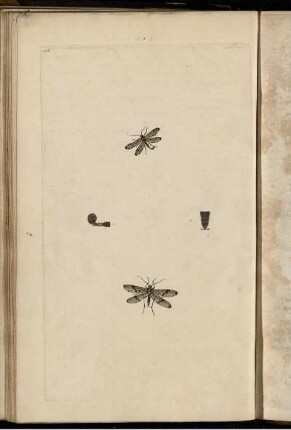 Pl. 201 [bis] Pl. 210 [Pl. siehe arabische Paginierung]